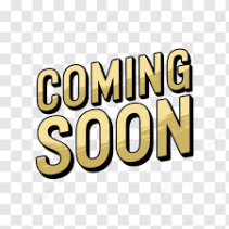 Organic Garam Masala